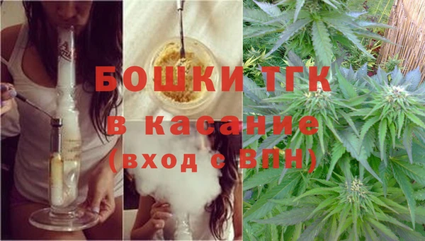 стаф Абаза
