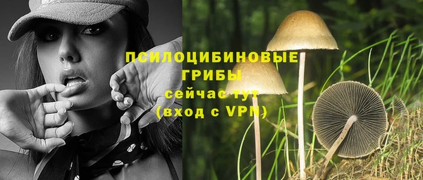 a pvp Саяногорск