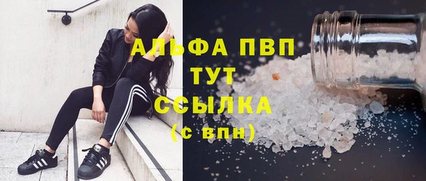 ПСИЛОЦИБИНОВЫЕ ГРИБЫ Сатка