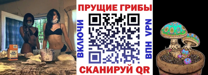 Псилоцибиновые грибы Magic Shrooms  где продают наркотики  Емва 